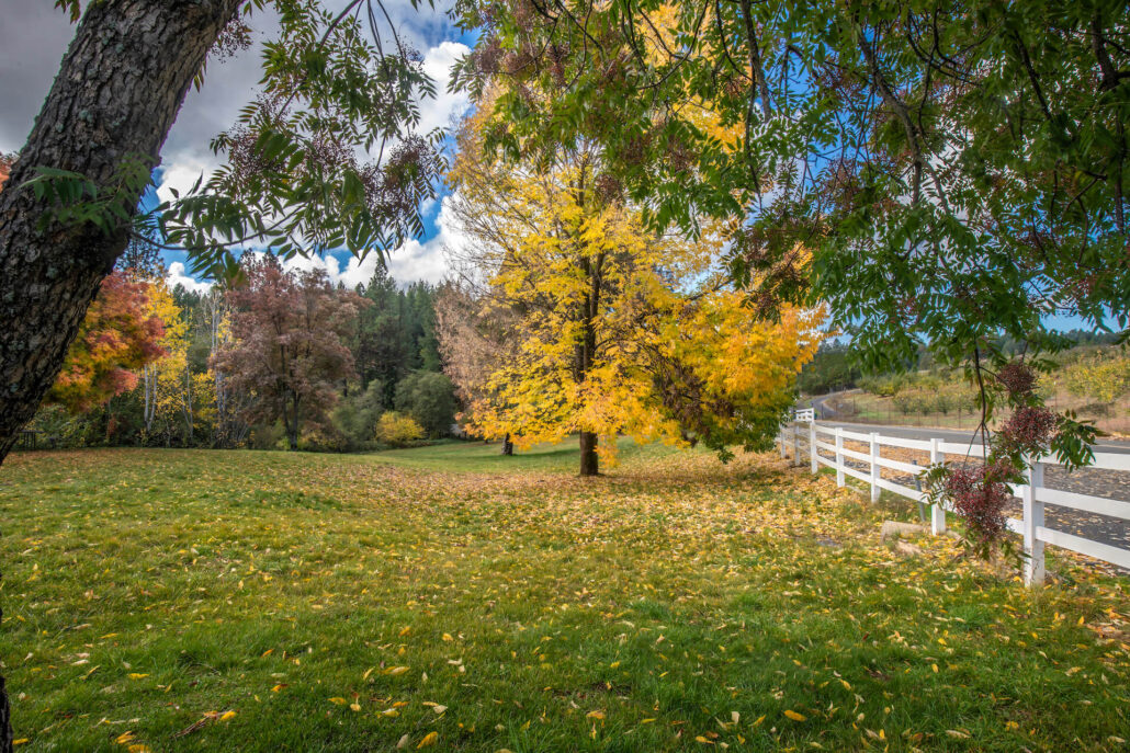 Larsen road apple hill 2