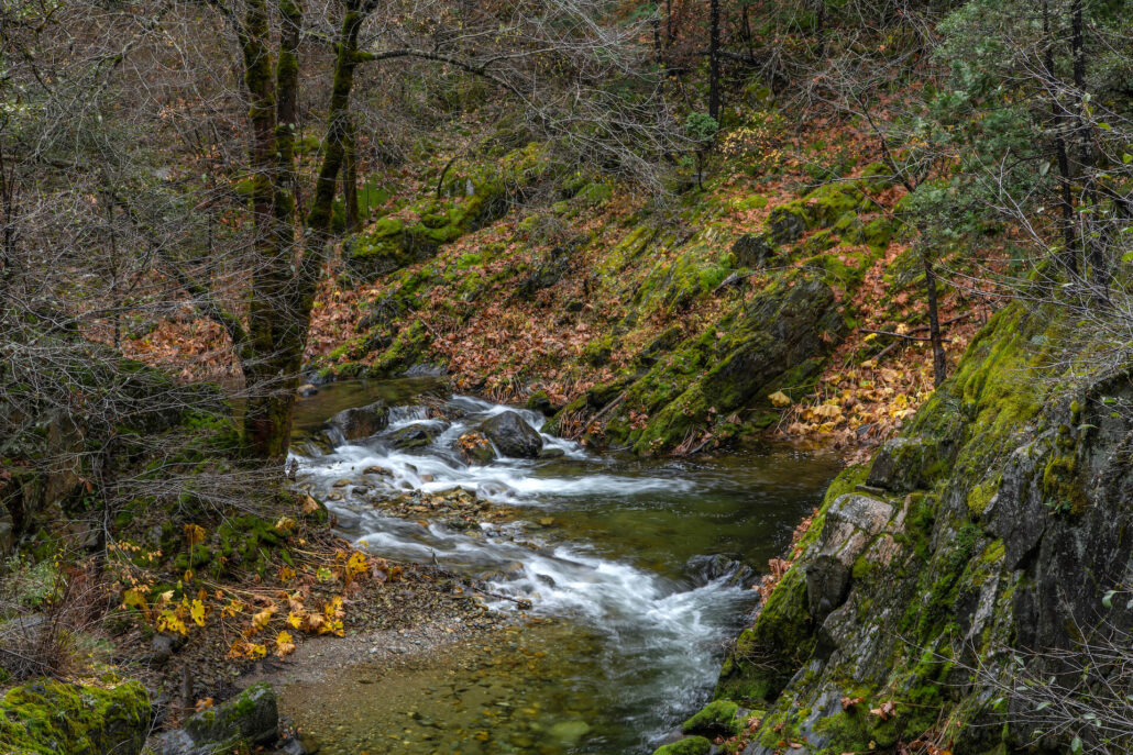 Lavezzola creek near downieville 4