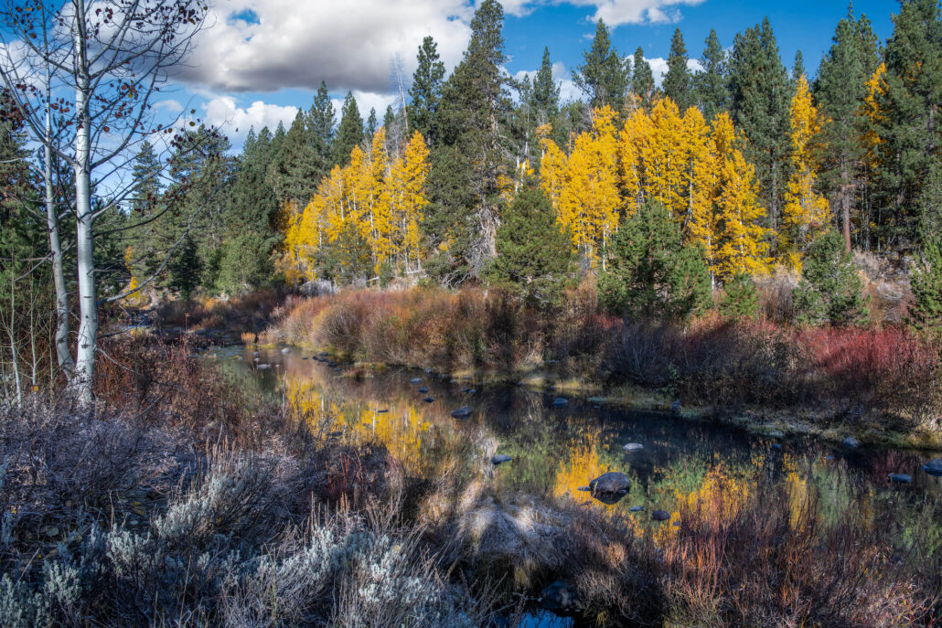 Little truckee river october 23