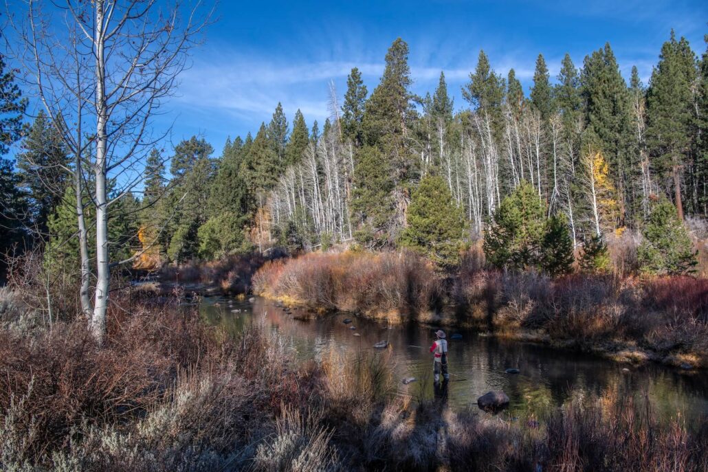 Little truckee river october 30