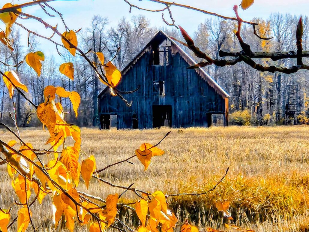 Olsen Bar in Chester by Jeff Titcomb