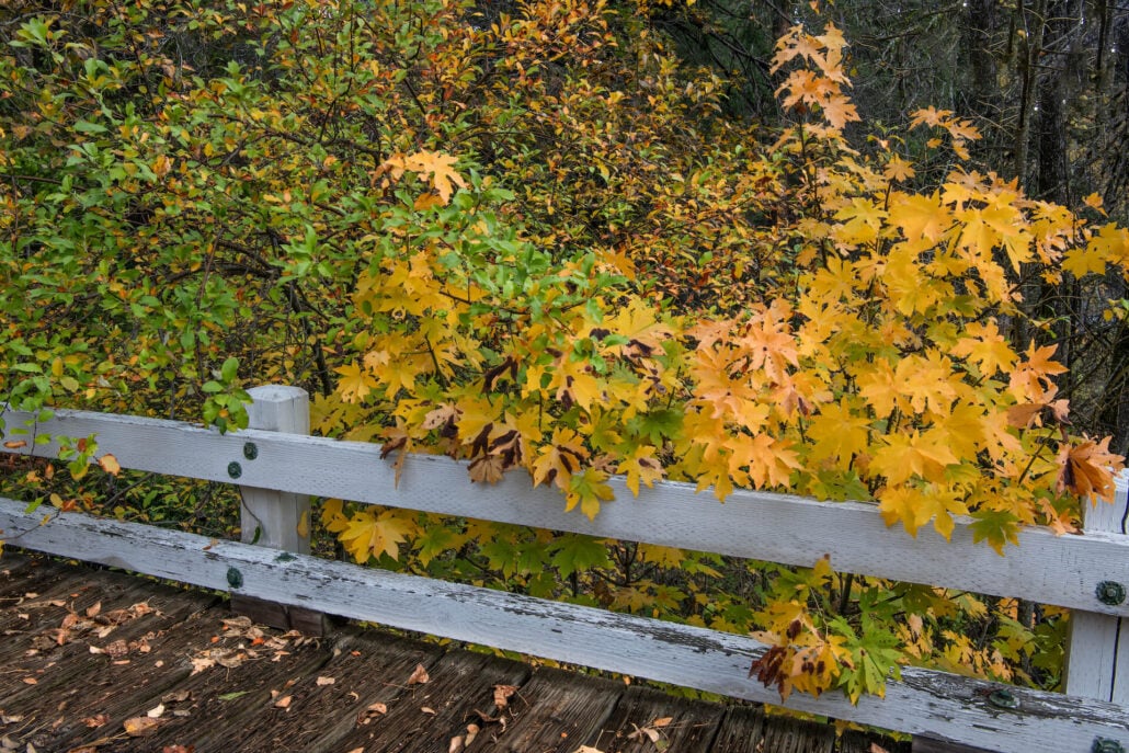 Simms flat historic bridge
