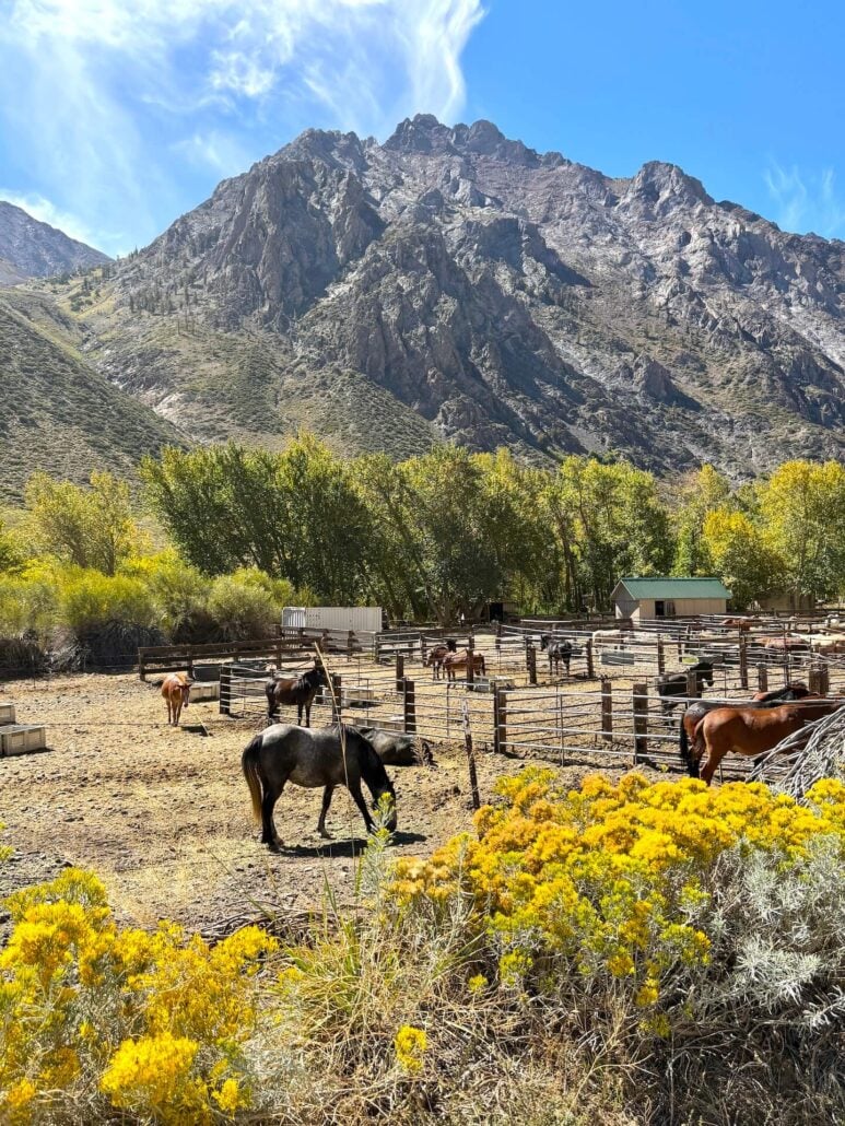 09.16.26 McGee Emily Bryant Mono County Tourism
