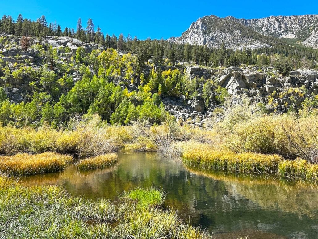 2026 9 16 willow campground bogs