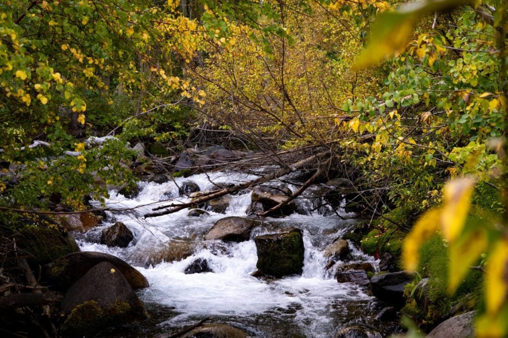9 16 26 FallColors McGeeCanyon KimEspinosaMLT