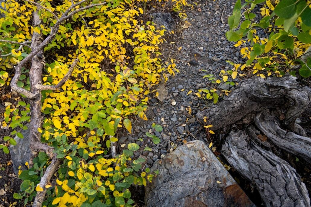 9 16 26 FallColors McGeeCanyon KimEspinosaMLT