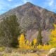 9.14.26 Virginia Lakes Resort Amanda Carlson Mono County Tourism