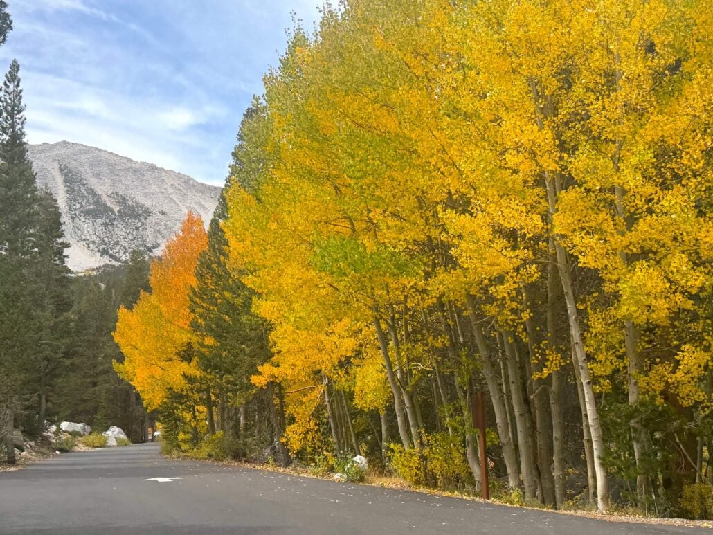 9.20.26 Rock Creek Lake Mono County Tourism