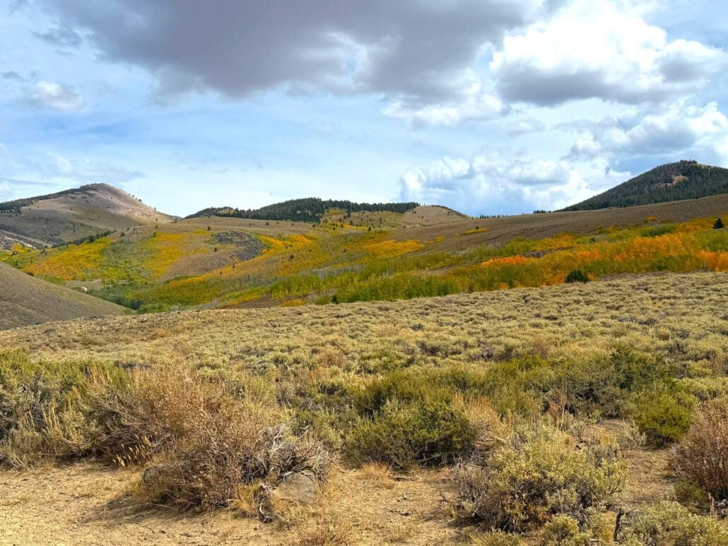 9.21.26 Lobdell Stehpanie UrbanWolff Mono County