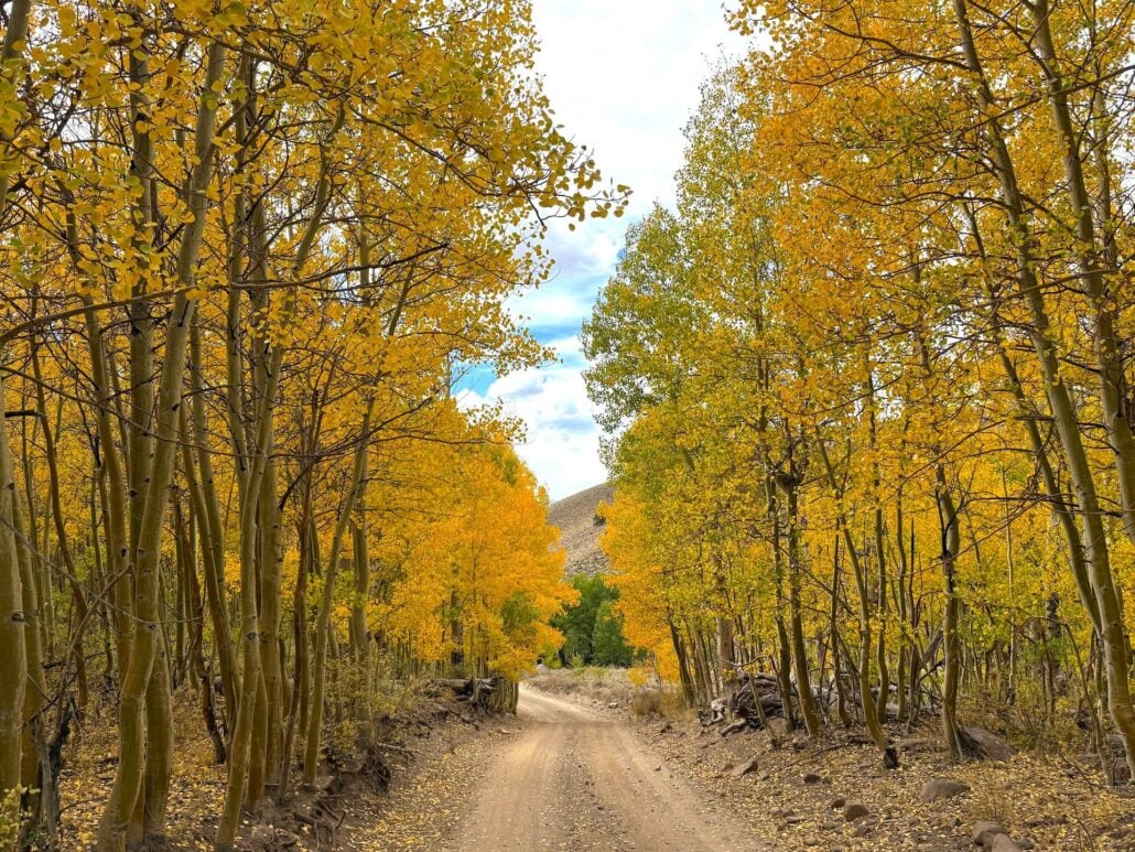 9.21.26 Lobdell Stephanie UrbanWolff Mono County