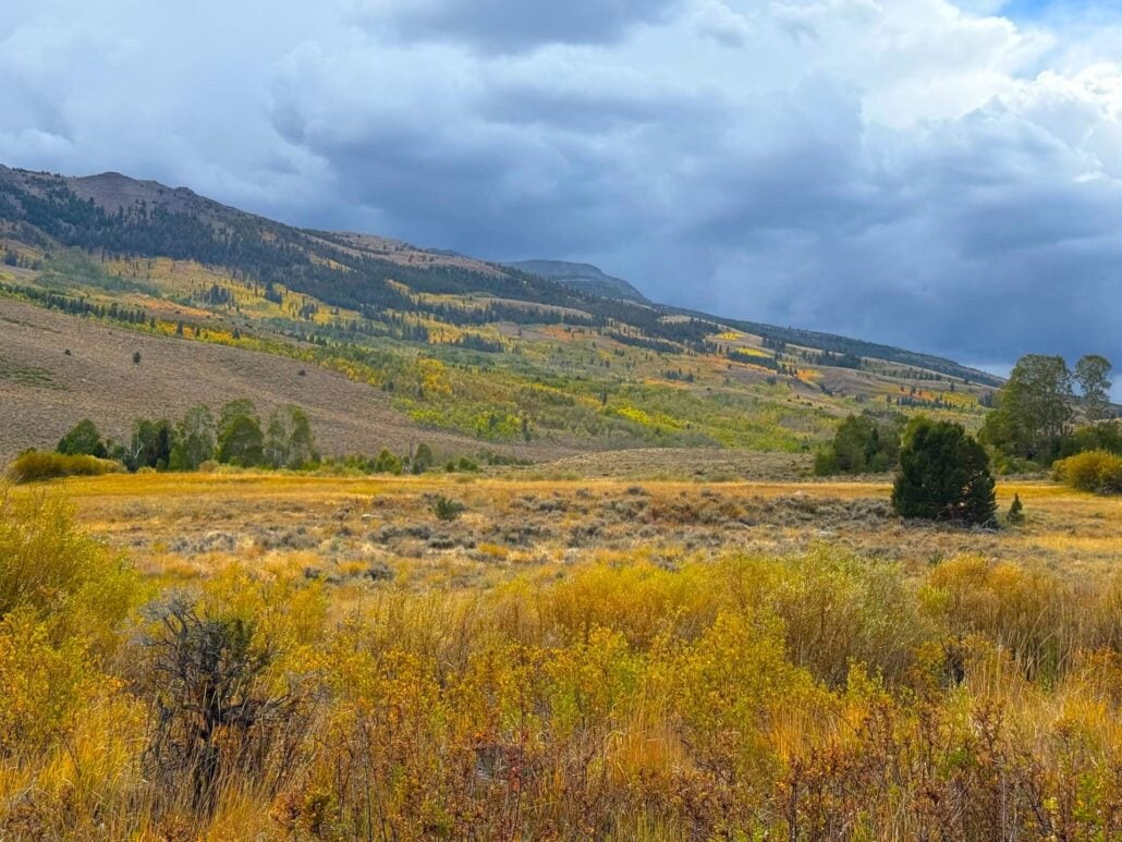 9.21.26 Upper Summer Meadows Stephanie UrbanWolff Mono County