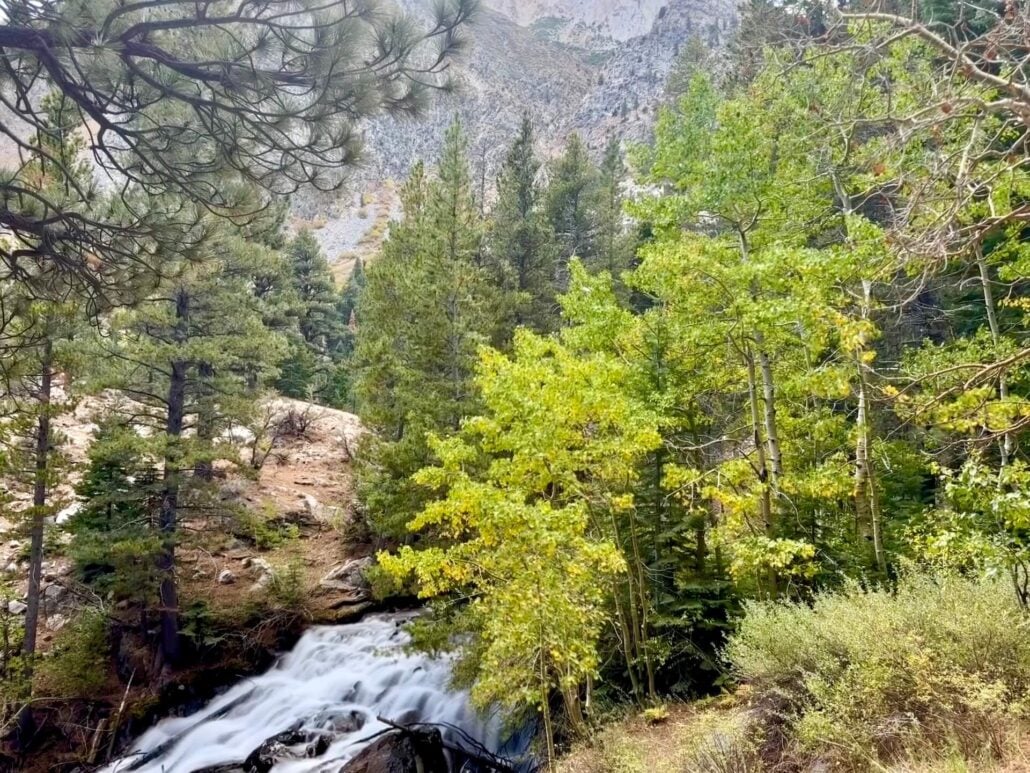 9.22.26 Lower Lee Vining canyon Emily Bryant Mono County Tourism