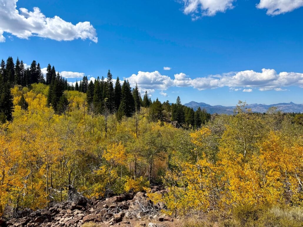 9.22.26 Monitor Pass Mono County Tourism