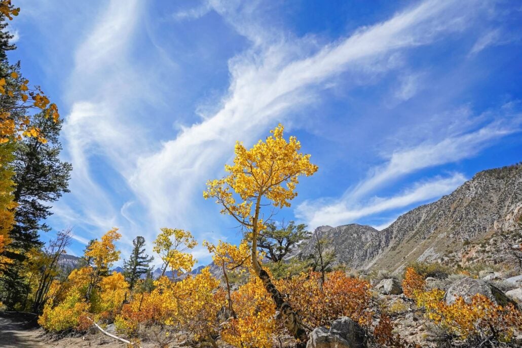 Bishop Creek (7)