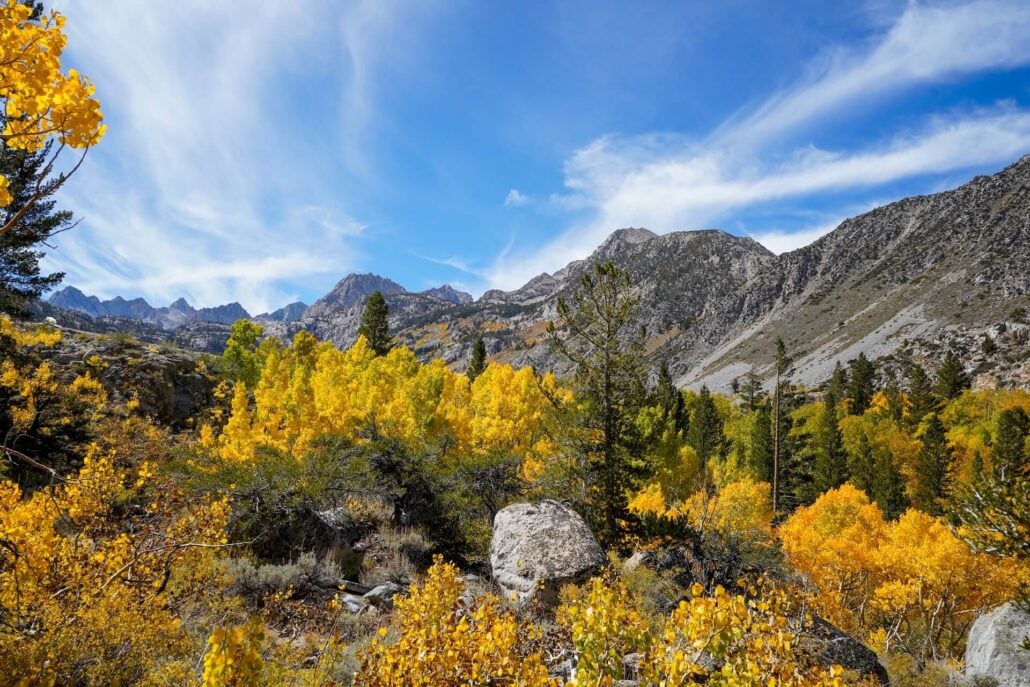 Bishop Creek (8)