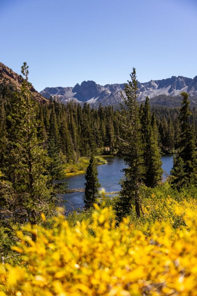 Mammoth Lakes Basin Fall Colors (09 14 26) Photo Credit Samantha Lindberg Mammoth Lakes Tourism
