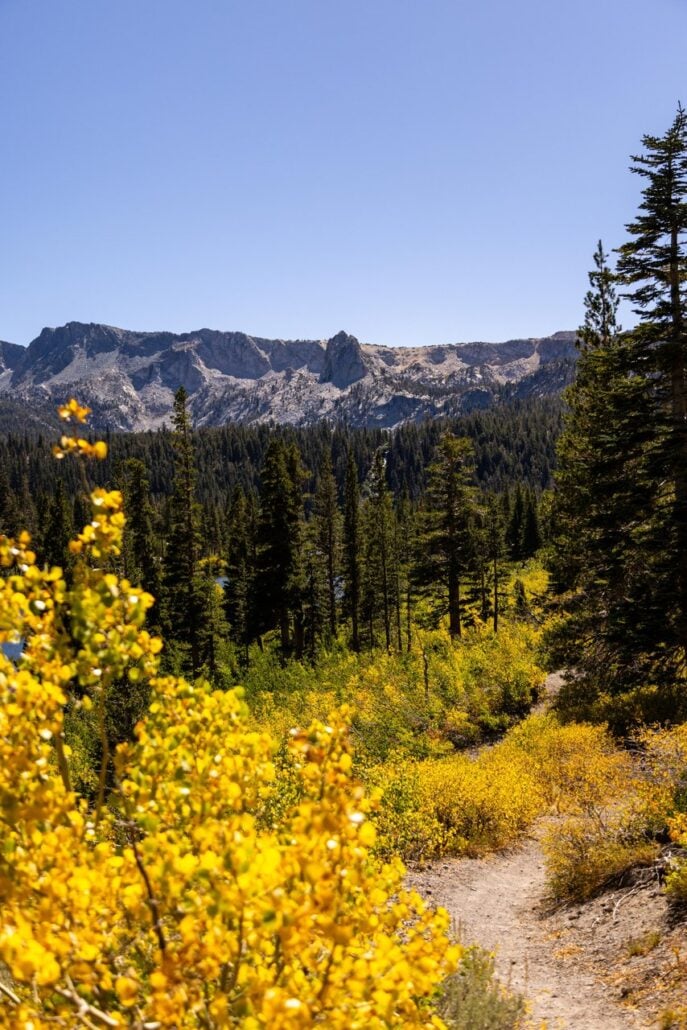 Mammoth Lakes Basin Fall Colors (09 14 26) Photo Credit Samantha Lindberg Mammoth Lakes Tourism