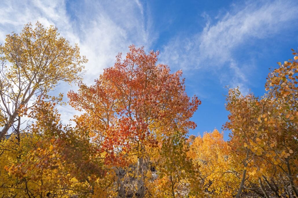 Rock Creek lake (11)