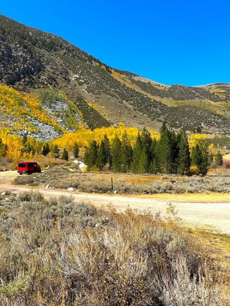 Surveyors meadow 9 23 26