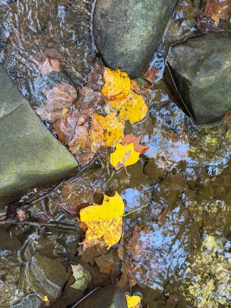 Image0