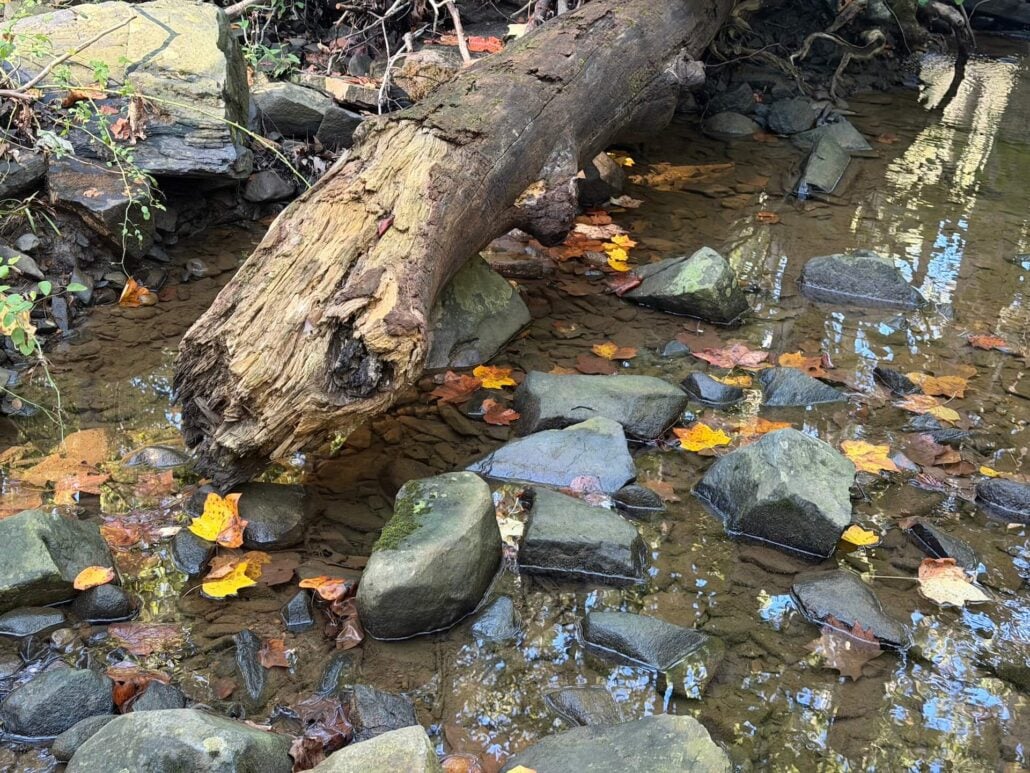 Image2