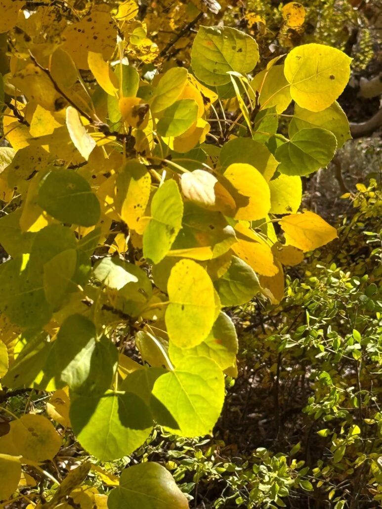 Image3