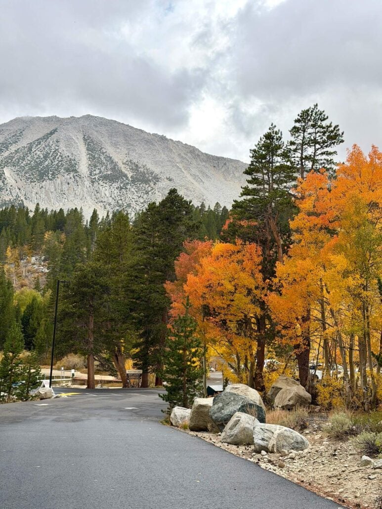 09.28.26 Rock Creek Emily Bryant Mono County Tourism