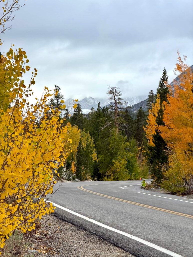 09.28.26 Rock Creek Emily Bryant Mono County Tourism