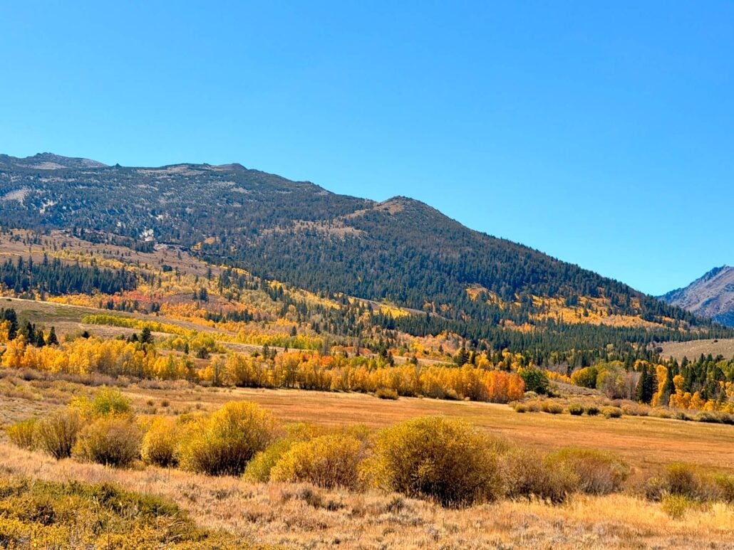 09.29.26 Dunderberg Meadow Road Emily Bryant Mono County Tourism