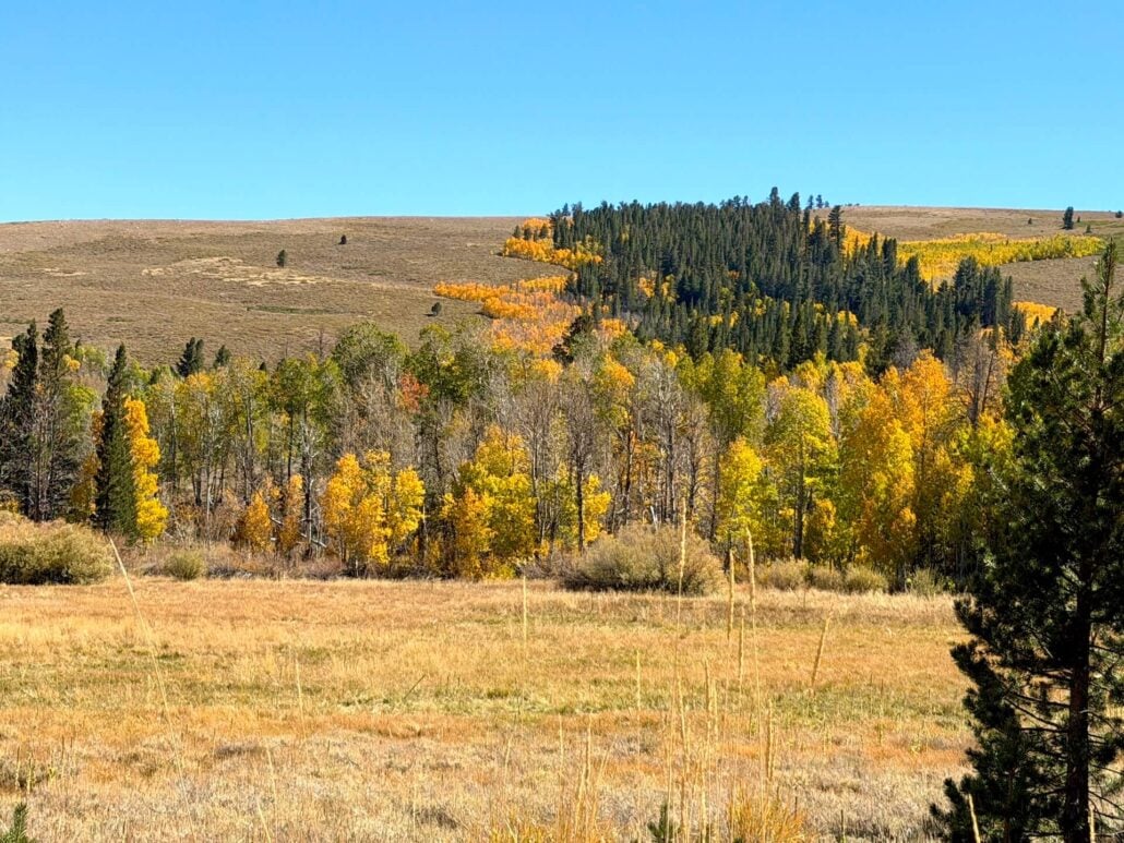 09.29.26 Dunderberg Meadow Road Emily Bryant Mono County Tourism