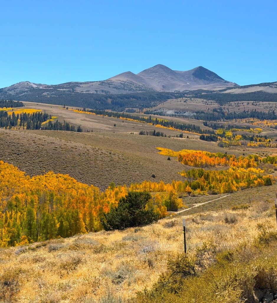 09.29.26 Dunderberg Meadow Road Emily Bryant Mono County Tourism