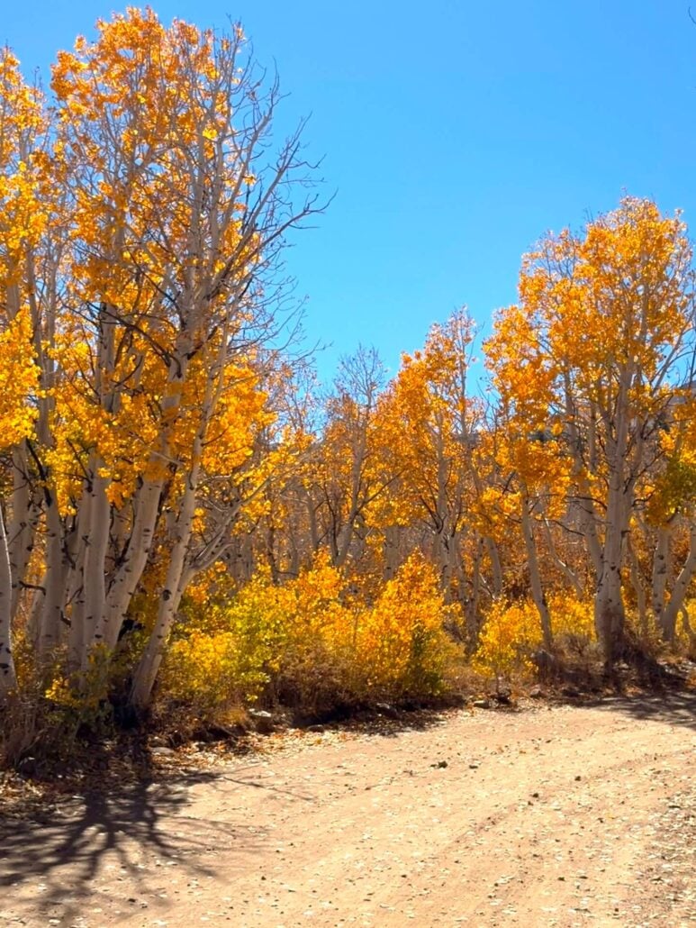 09.29.26 Dunderberg Meadow Road Emily Bryant Mono County Tourism