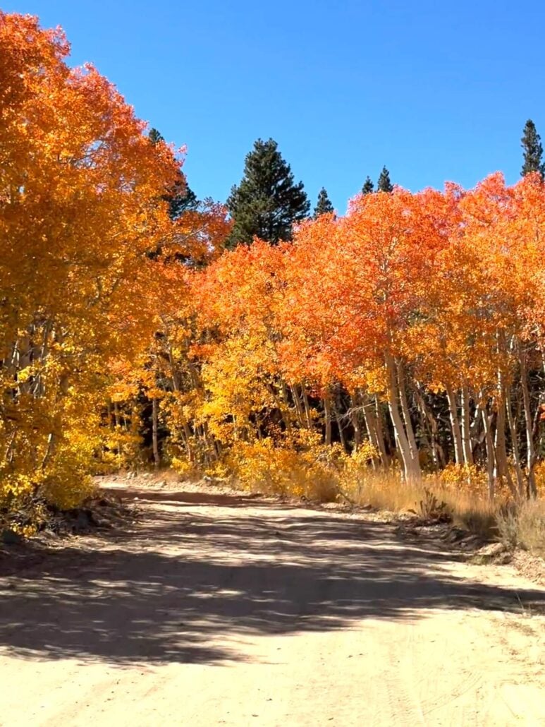 09.29.26 Dunderberg Meadow Road Emily Bryant Mono County Tourism