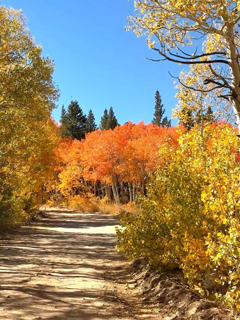 09.29.26 Dunderberg Meadow Road Emily Bryant Mono County Tourism