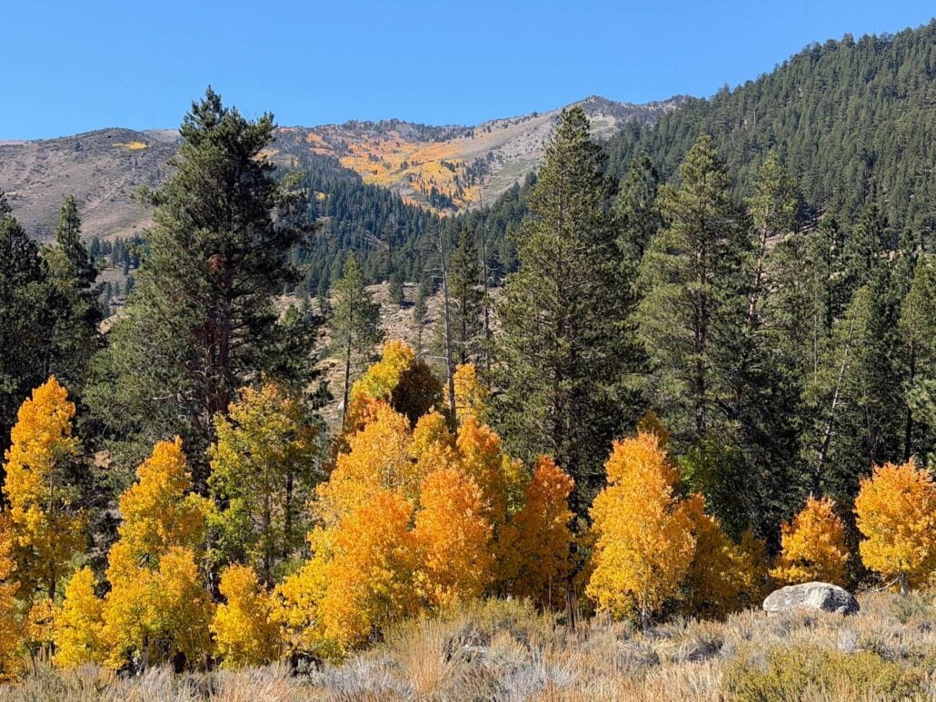 09.29.26 Twin Lakes Bridgeport Emily Bryant Mono County Tourism