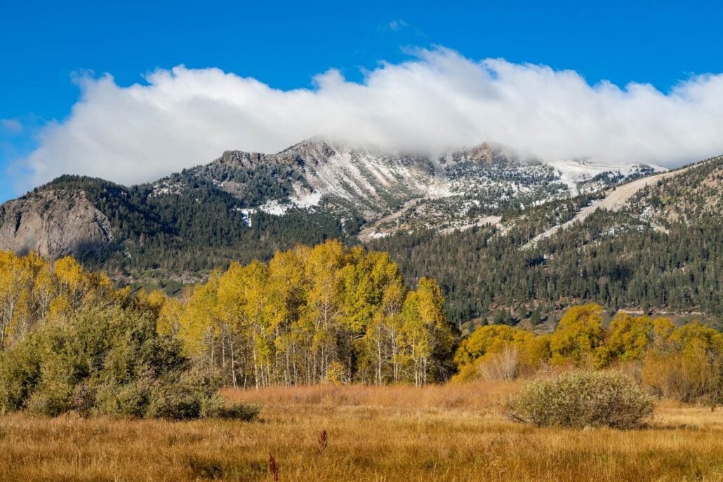 10 13 26 FallColors&Snow MammothLakes KimEspinosa MLT