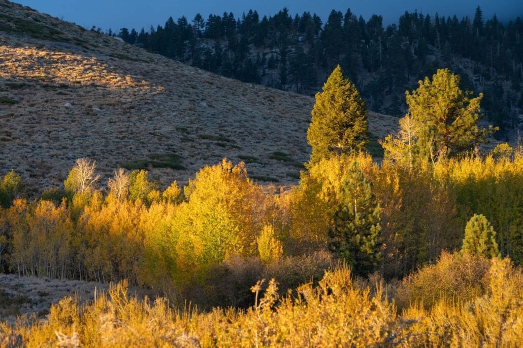 10 13 26 FallColors&Snow SherwinCreek KimEspinosa MLT