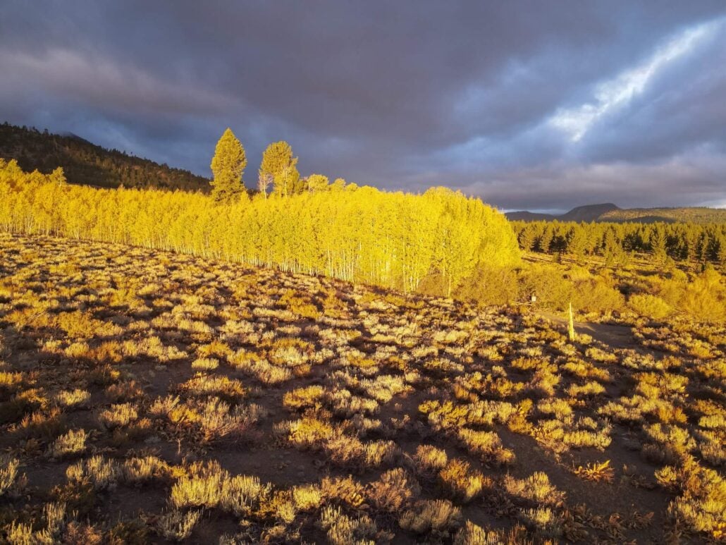 10 13 26 FallColors&Snow SherwinCreek KimEspinosa MLT