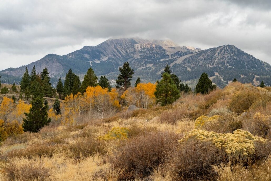 10 21 26 FallColors MammothLakes KimEspinosaMLT