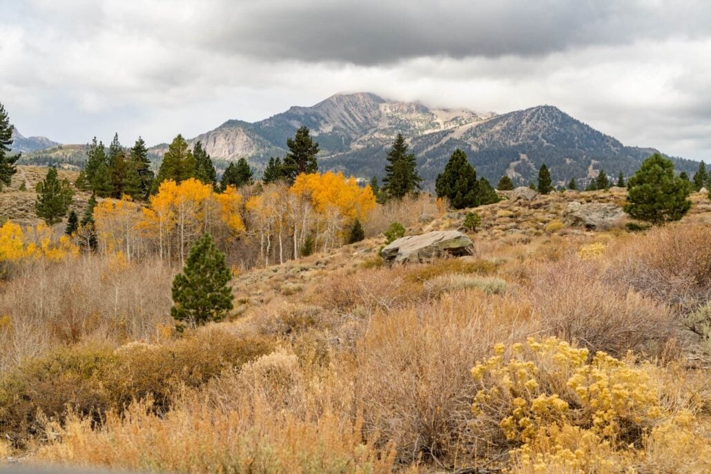 10 21 26 FallColors MammothLakes KimEspinosaMLT