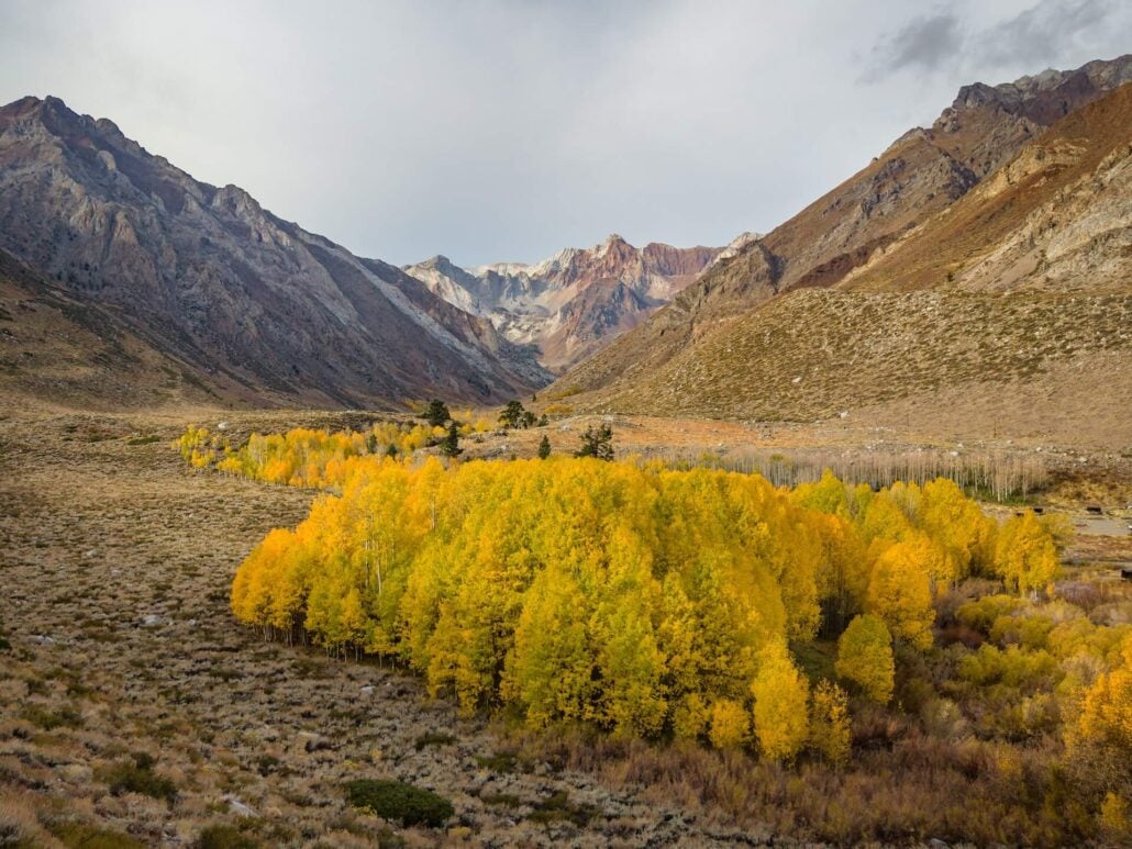 10 21 26 FallColors McGee KimEspinosaMLT