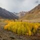 10 21 26 FallColors McGee KimEspinosaMLT