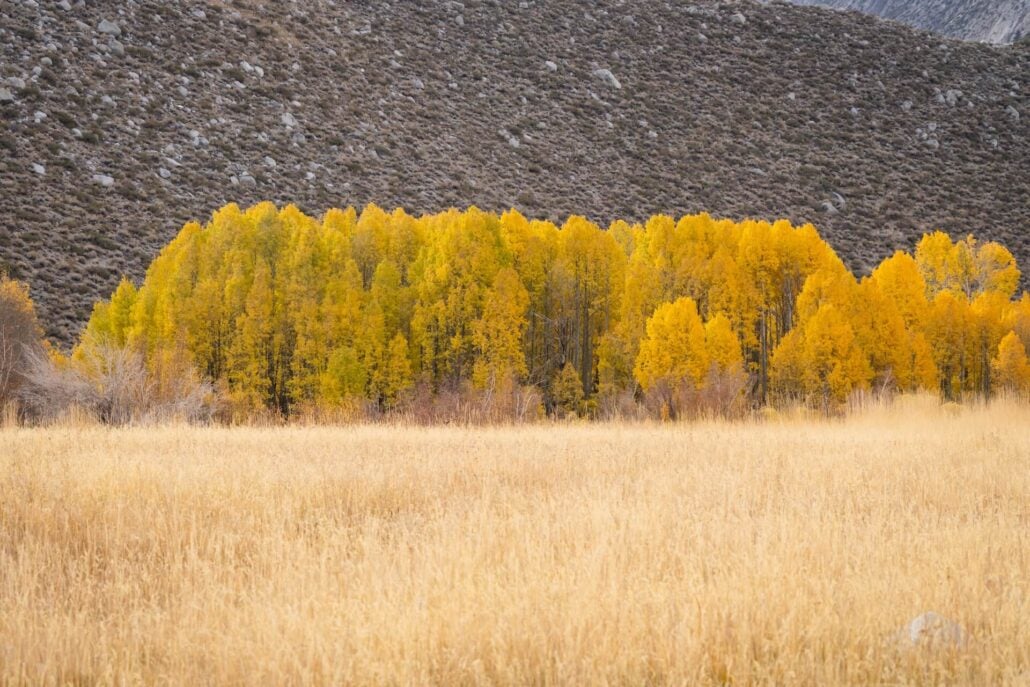 10 21 26 FallColors McGee KimEspinosaMLT
