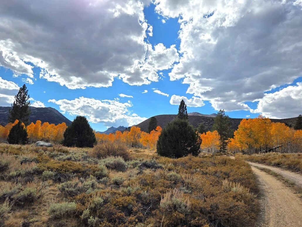 10.05.26 Green Creek Mono County Tourism