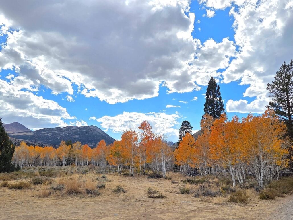 10.05.26 Green Creek Mono County Tourism
