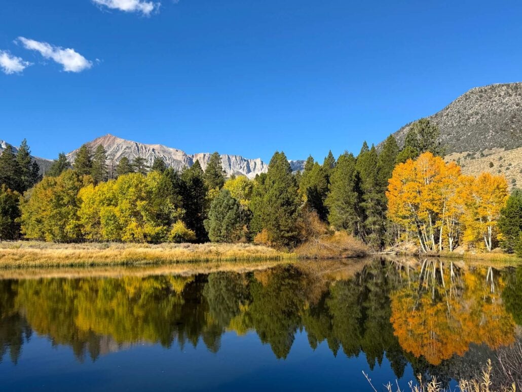 10.05.26 Lee Vining Creek Emily Bryant Mono County Tourism