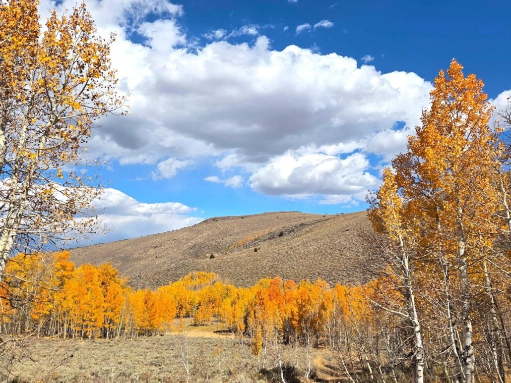 10.05.26 Lobdell Mono County Tourism