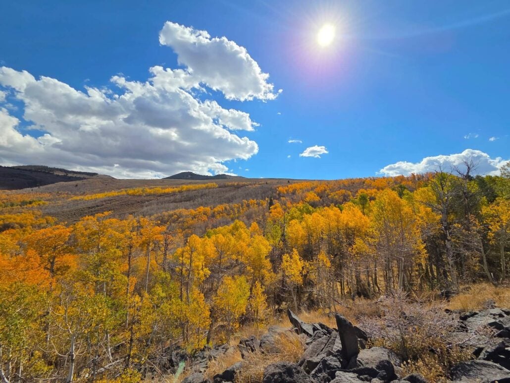 10.05.26 Lobdell Mono County Tourism