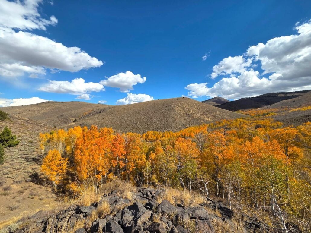 10.05.26 Lobdell Mono County Tourism