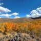 10.05.26 Lobdell Mono County Tourism